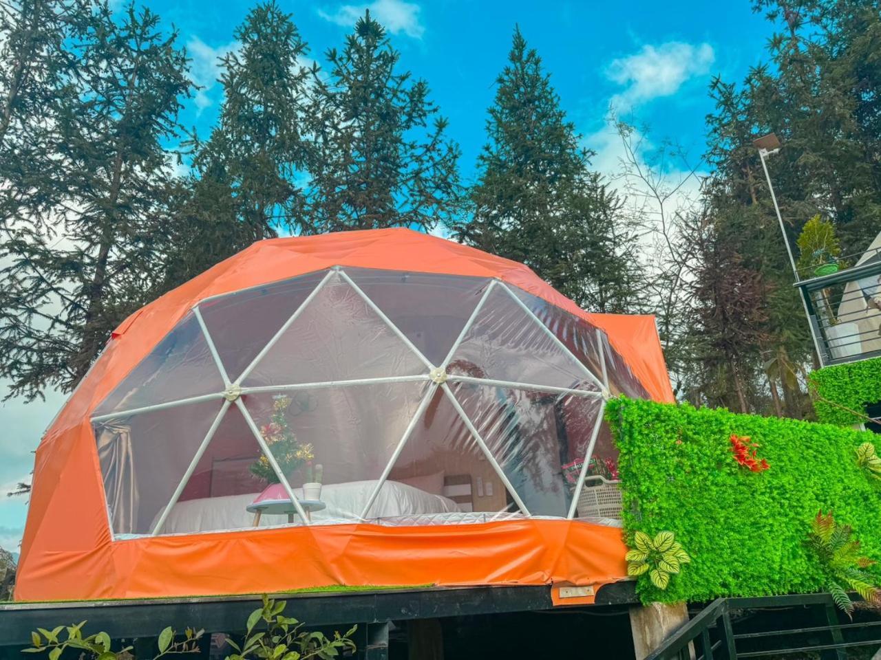 Plum Homestay Донгван Экстерьер фото