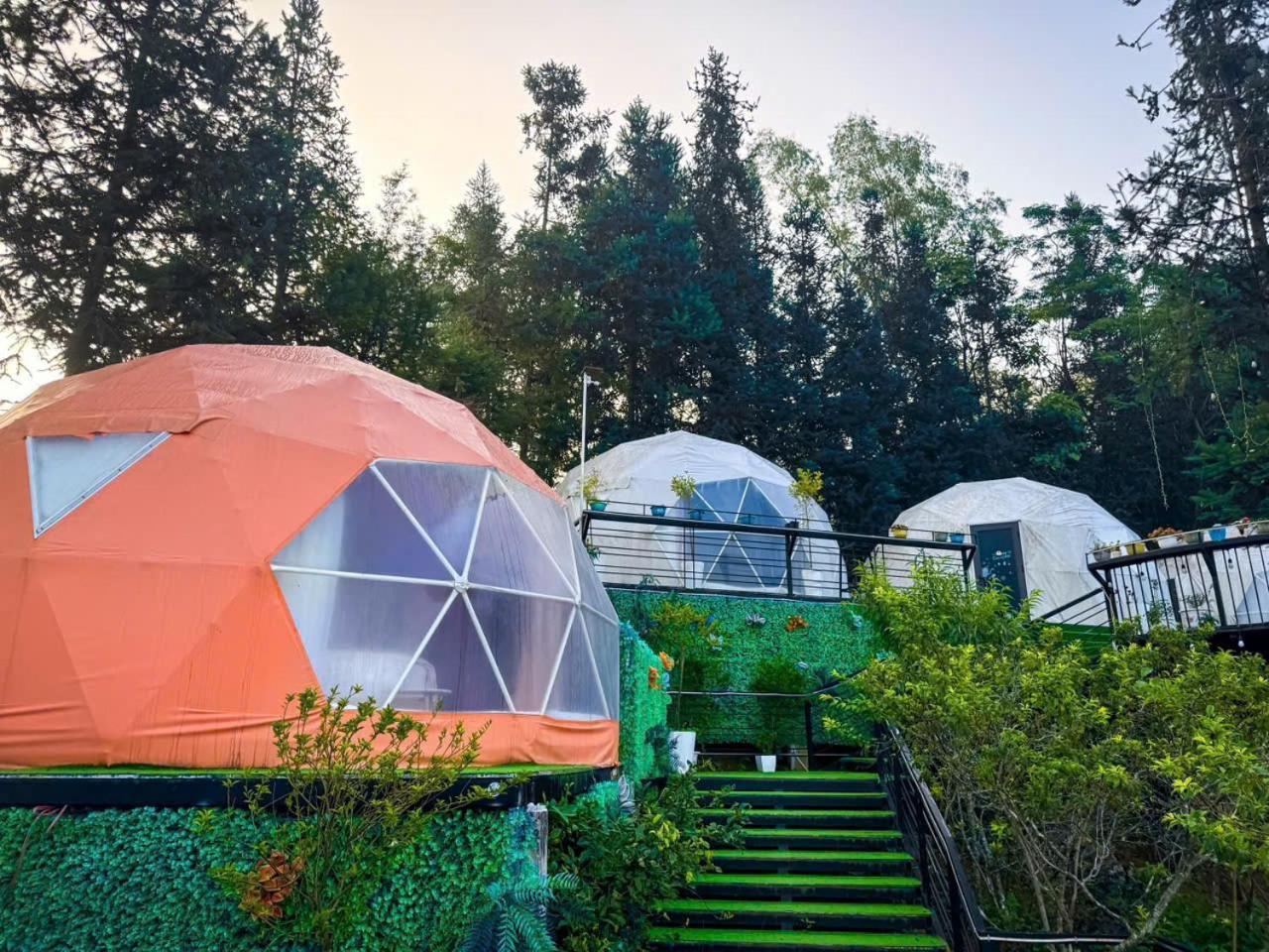 Plum Homestay Донгван Экстерьер фото